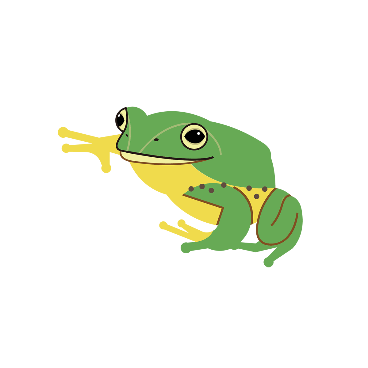 台北樹蛙 島民集合hello Islander