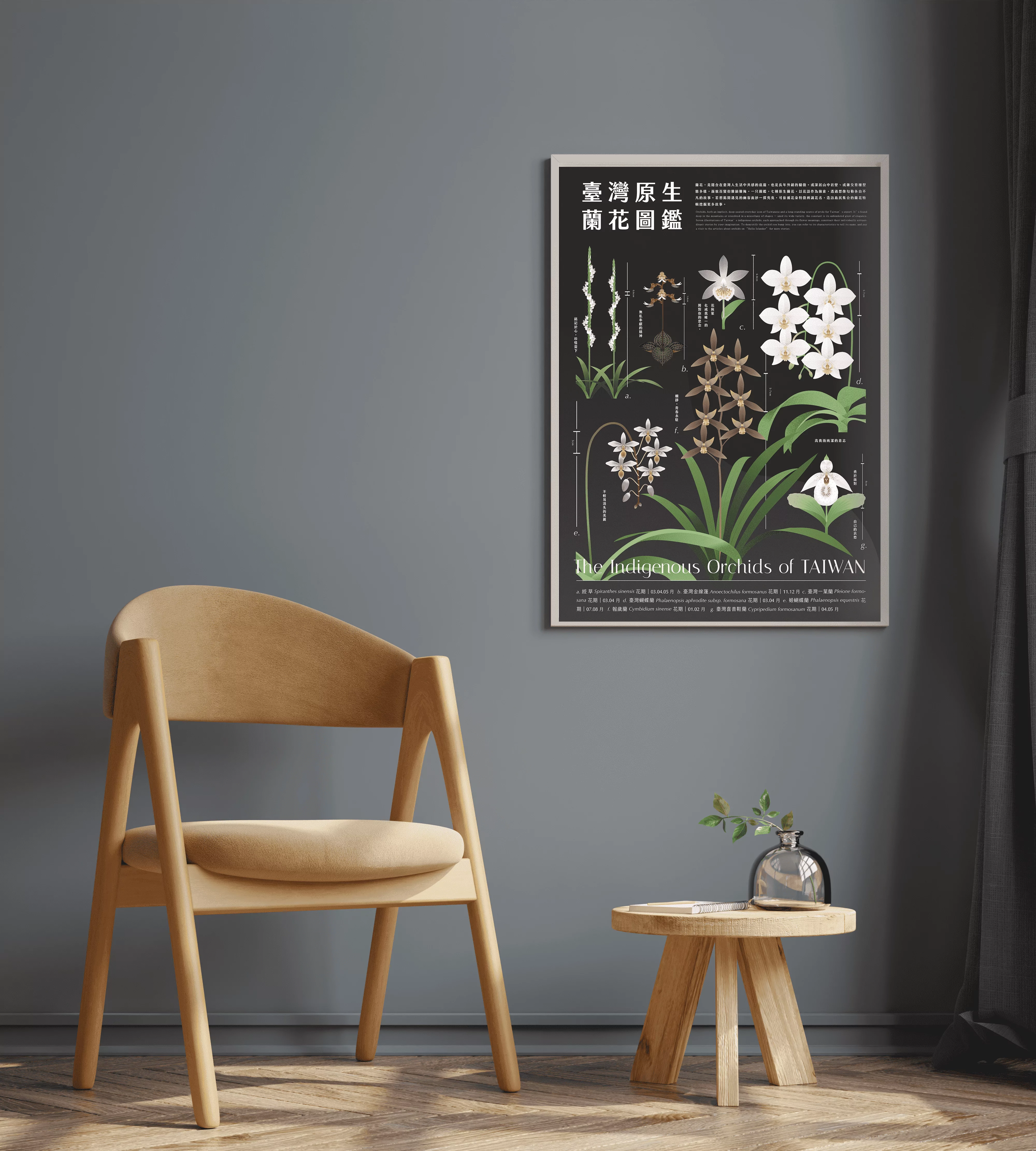 臺灣原生蘭花》A2圖鑑海報- 島民集合Hello Islander