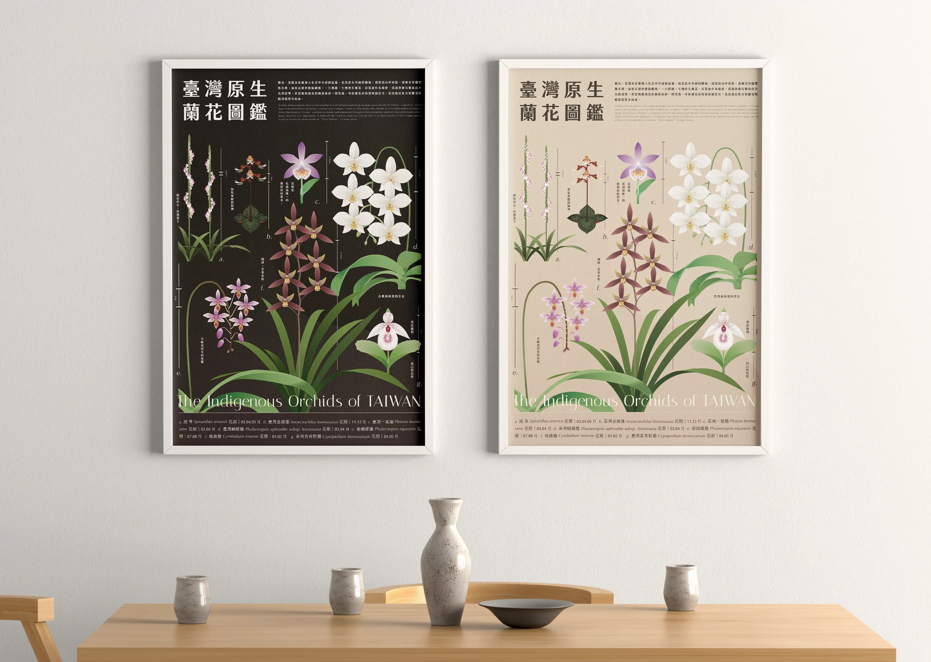 臺灣原生蘭花》A2圖鑑海報- 島民集合Hello Islander